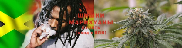 ГАЛЛЮЦИНОГЕННЫЕ ГРИБЫ Алзамай