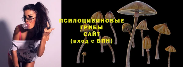 альфа пвп Армянск