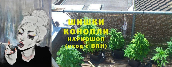 ГАЛЛЮЦИНОГЕННЫЕ ГРИБЫ Алзамай