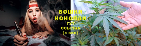MESCALINE Аркадак